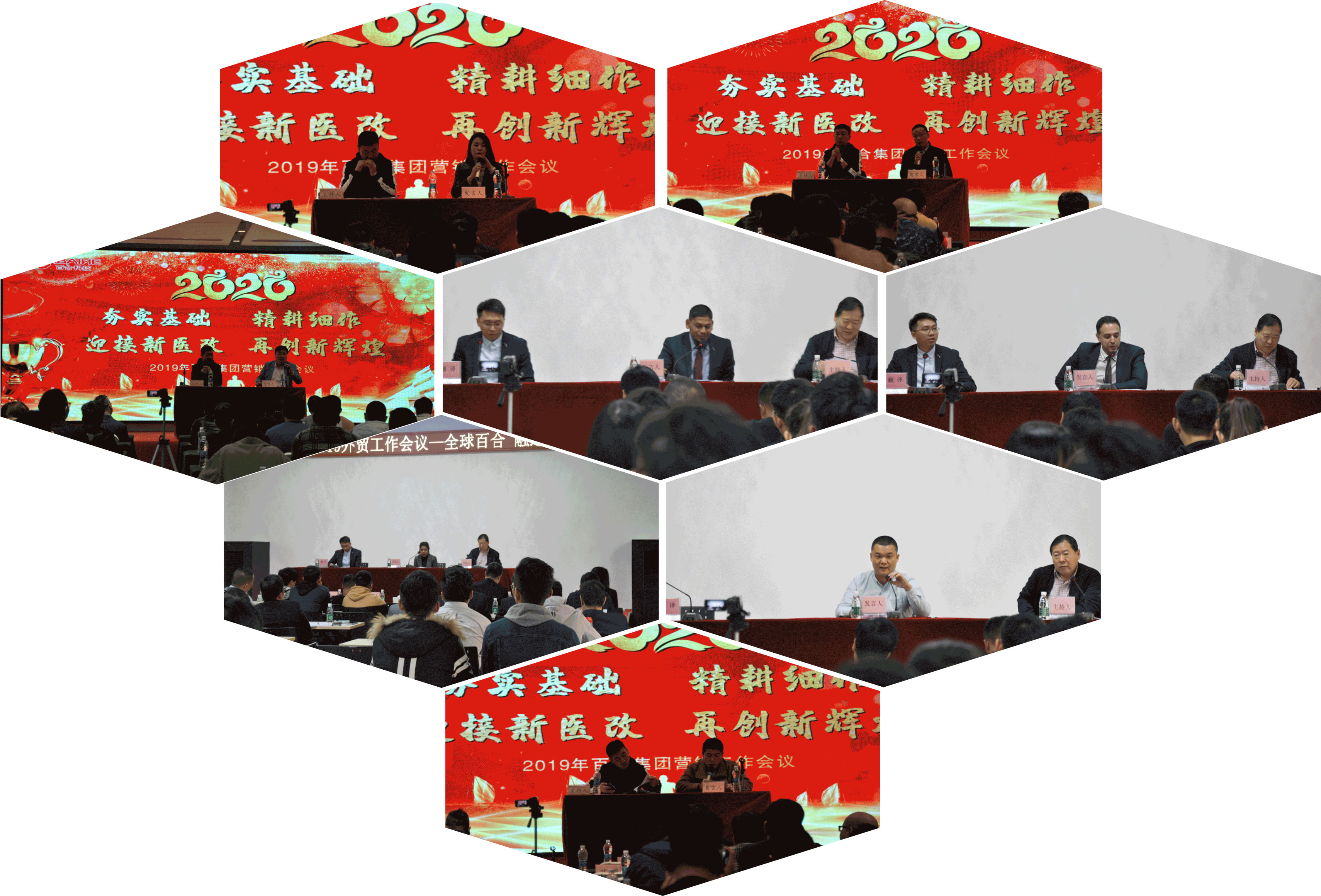 Baihe Medical Domestic and Foreign Marketing Conference